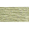 DMC Mouline Special 524 Six-Strand Embroidery Thread Very Light Fern Green 8.7-Yards