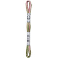 DMC Mouline Coloris 4500 Six-Strand Embroidery Thread Columbine Gardens 8.7-Yards