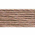 DMC Mouline Special 3861 Six-Strand Embroidery Thread Brown 8.7-Yards