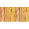 DMC Mouline Colour Variations 4100 Six-Strand Embroidery Thread Summer Breeze 8.7-Yards