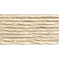 DMC Mouline Special 822 Six-Strand Embroidery Thread Light Beige Gray 8.7-Yards