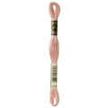 DMC Mouline Special 3779 Six-Strand Embroidery Thread Ultra Very Light Terra Cotta 8.7-Yards