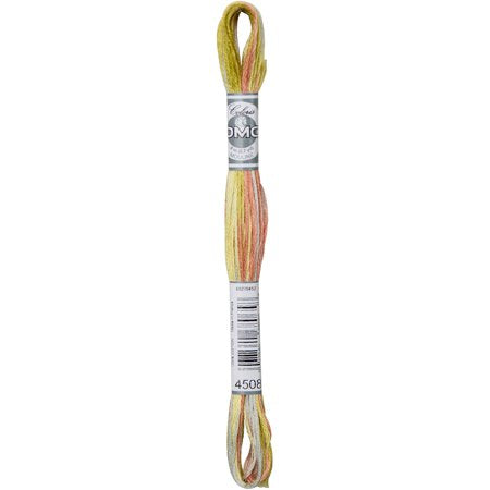 DMC Mouline Coloris 4508 Six-Strand Embroidery Thread Frosted Countryside 8.7-Yards