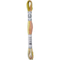 DMC Mouline Coloris 4508 Six-Strand Embroidery Thread Frosted Countryside 8.7-Yards