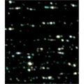 DMC Light Effects E310 Six-Strand Embroidery Thread Ebony 8.7-Yards