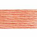 DMC Mouline Special 3824 Six-Strand Embroidery Thread Apricot Light 8.7-Yards