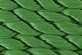 DMC Pearl Cotton Size 5, 15m, 115AR/5-702
