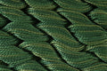 DMC Coton Perle Size 5 - Variations - Shade 4045 - 25m