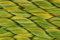 DMC Coton Perle Size 5 - Variations - Shade 4069 - 25m
