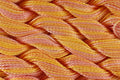 DMC Coton Perle Size 5 - Variations - Shade 4100 - 25m