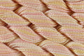 DMC Coton Perle Size 5 - Variations - Shade 4160 - 25m