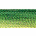 DMC Mouline Special 92 Six-Strand Embroidery Thread Variegated Avocado 8.7-Yards