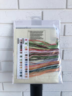 Dimensions counted cross stitch kit 13687